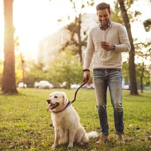 Men's Belt, Dog Collar and Dog Leash. All in one Gift Idea